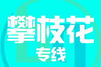 武汉到攀枝花物流专线